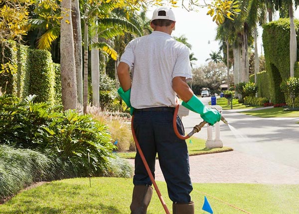 About Belton KY Pest Control